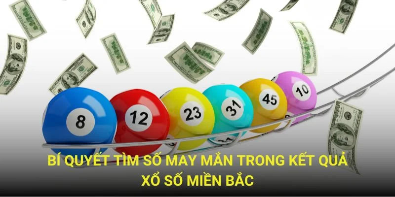 Tìm số may mắn trong kết quả xổ số miền Bắc Tìm số may mắn trong kết quả xổ số miền Bắc